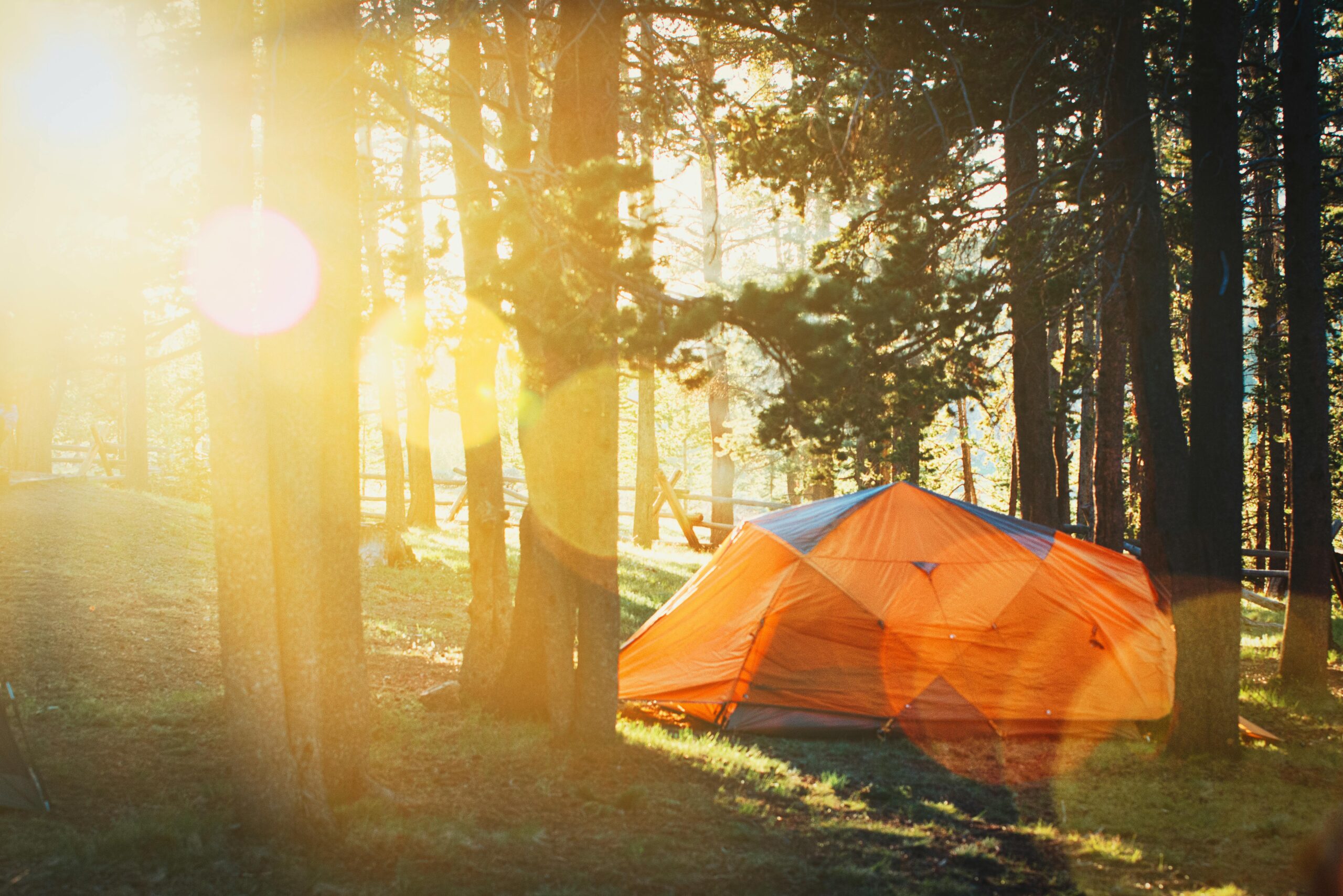 Camping Safety